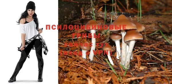 скорость mdpv Елабуга