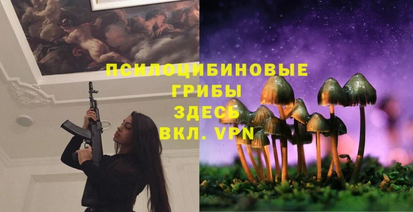 MDMA Ельня