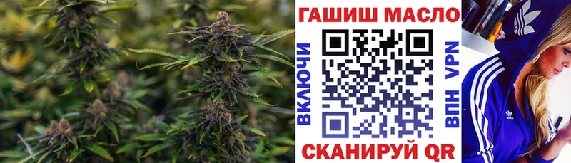 Дистиллят ТГК Wax  Купить где  Сегежа 
